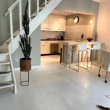 アパート Family House Scheveningen